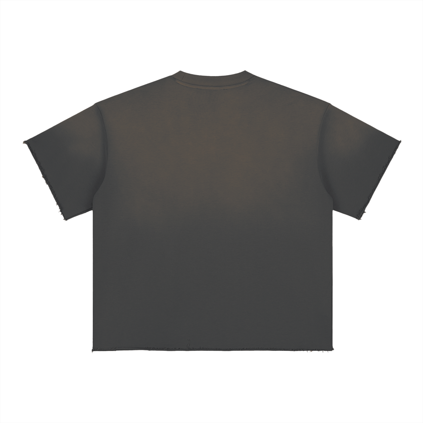 SC.01 Sun Fade Raw Edge T-Shirt
