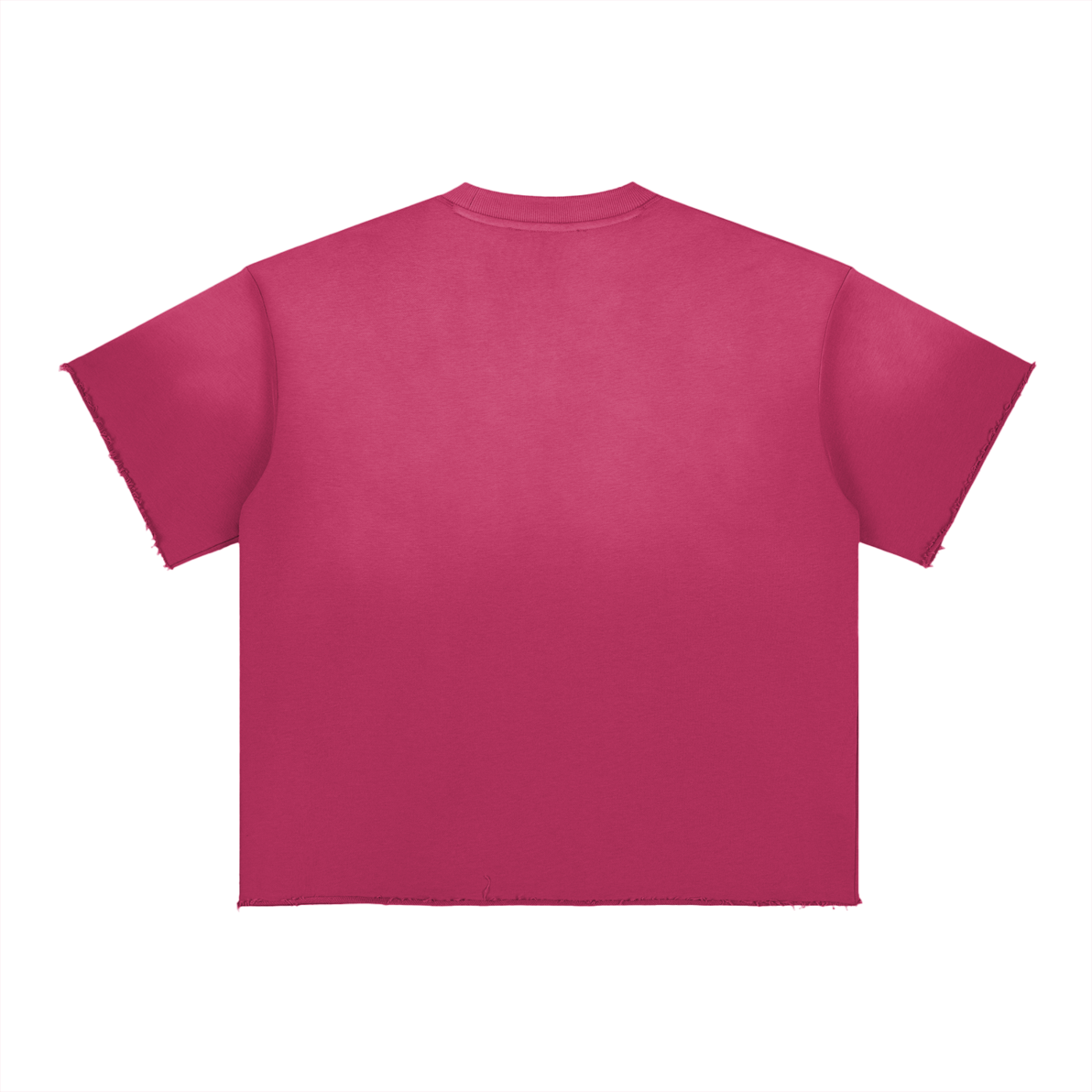 SC.01 Sun Fade Raw Edge T-Shirt
